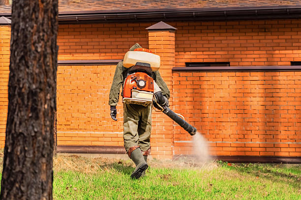 Trusted Ant Control service in Kingsley, IA - Nex Pest Control
